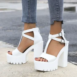 2024 Summer Women Sandals Sexy Waterproof Platform Cross Buckle Non-slip Thick Heel High Heel Sandals Nightclub Stage Shoes 13cm