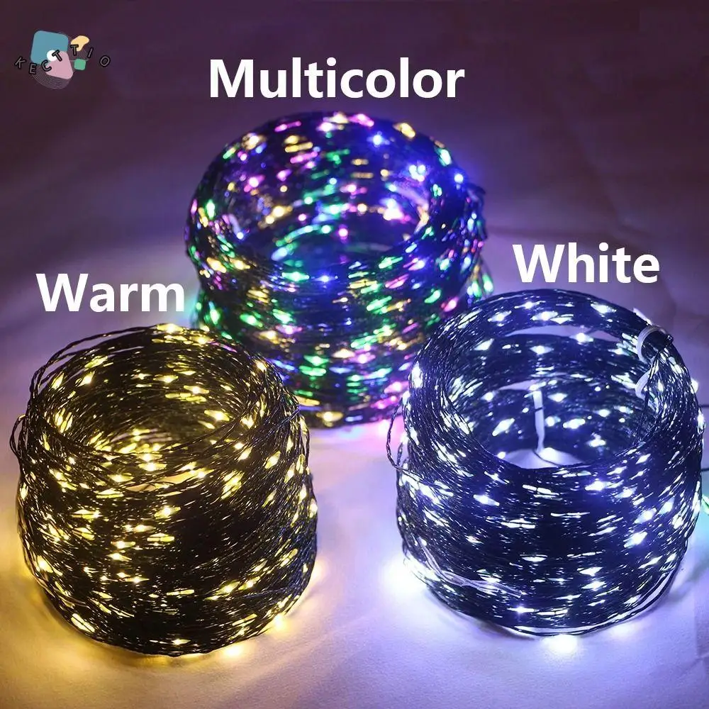 LED String Lights Outdoor Decor Lights 50m/100m EU Plug Light String With Remote For Christmas Tree Street Wedding Party