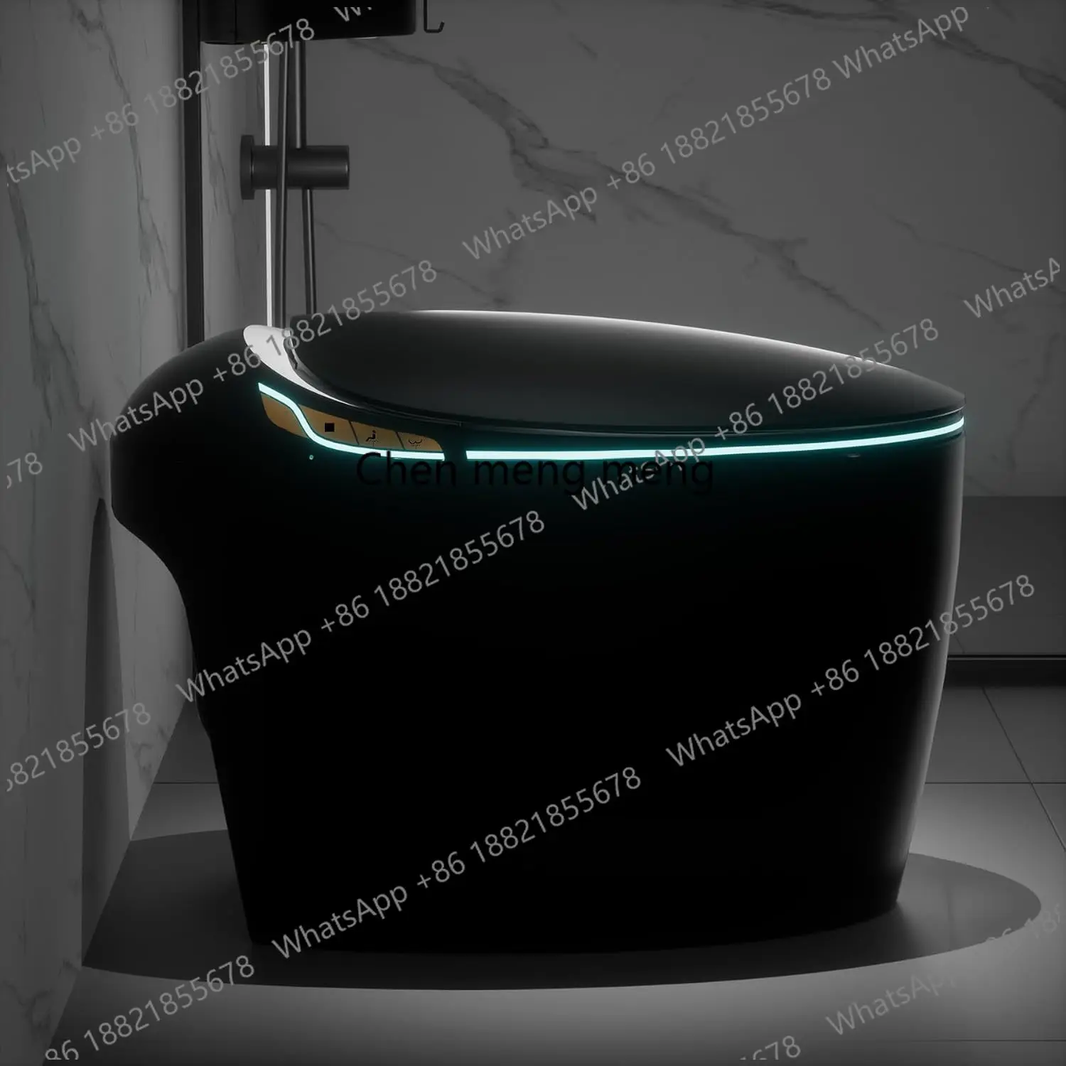 Bidet Toilet 10