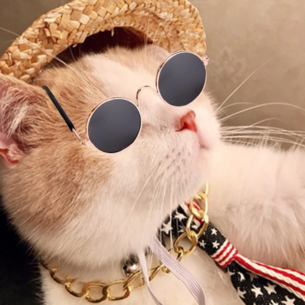 

3pcs Animal Ornament Sunglasses Retro Straw Hat Gold Necklace Animal Ornament Dog Decorations Photo Parties Accessories