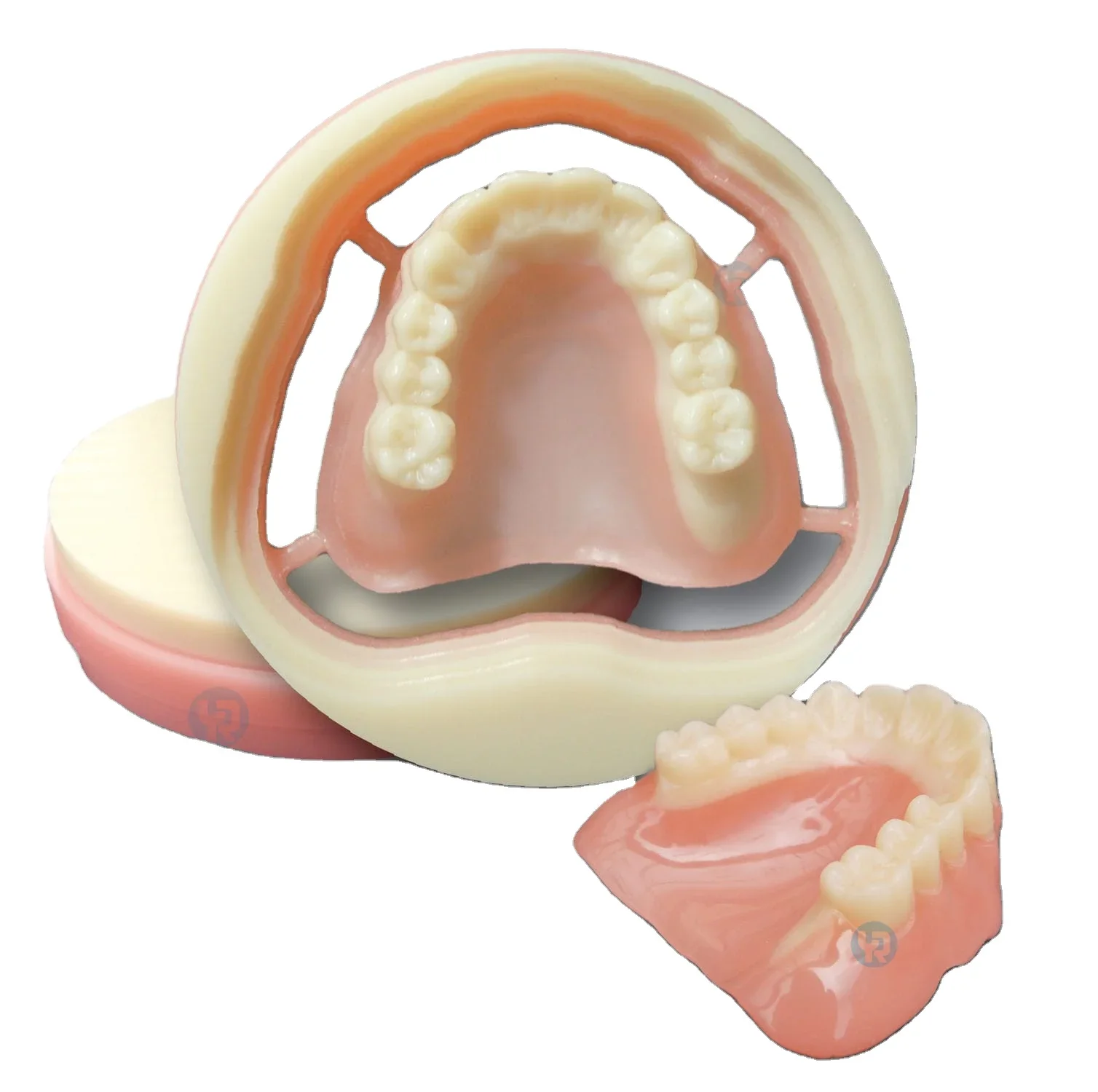 Yucera Premium Durability  Monolayer PMMA for Consistent  Prosthetic Results