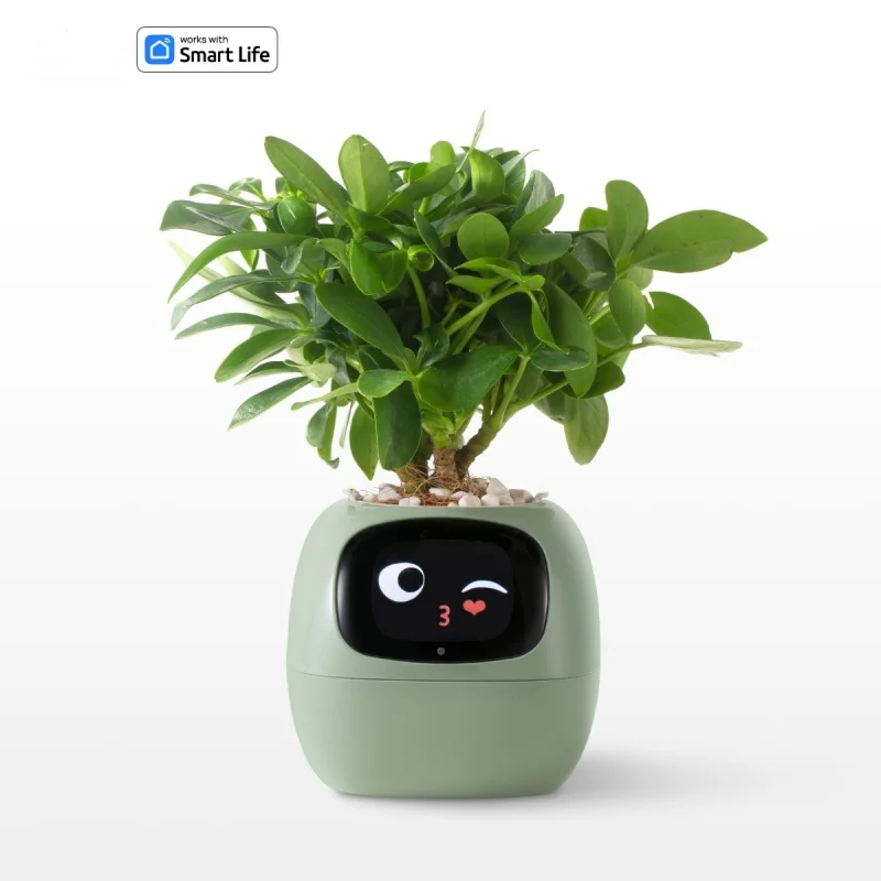 Smart Planter