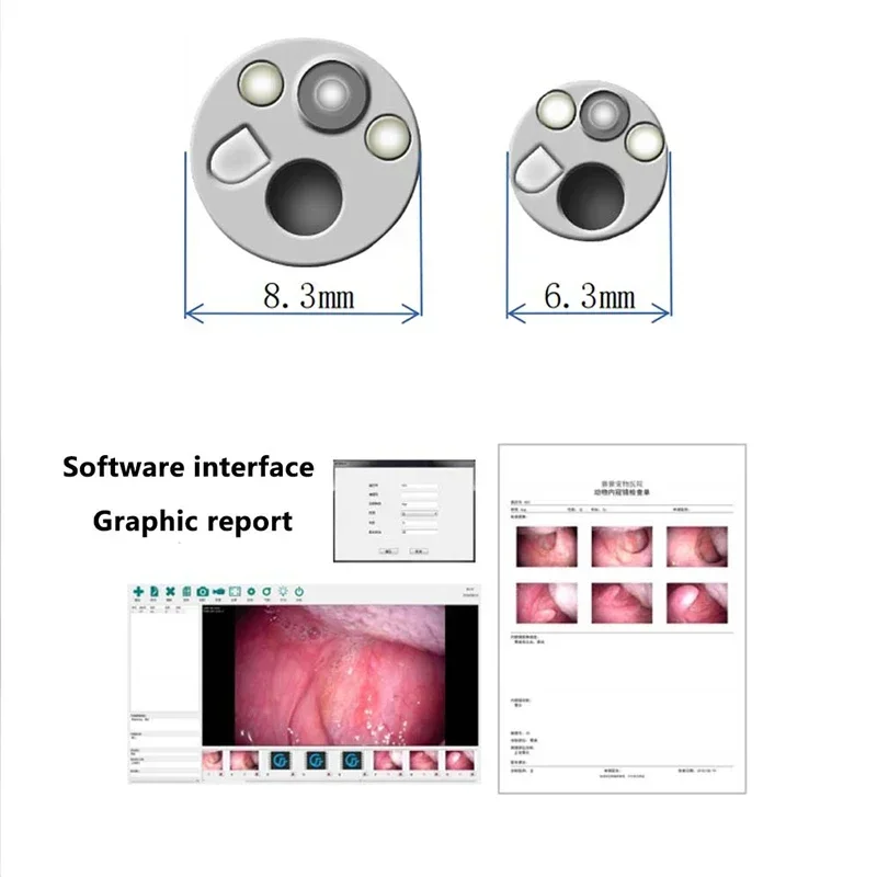 Customized Veterinary Endoscope Gastrointestinal Endoscopy Pet Animal Hospital Ca-me-ra Endoscopic 4k Endoscopic Image System