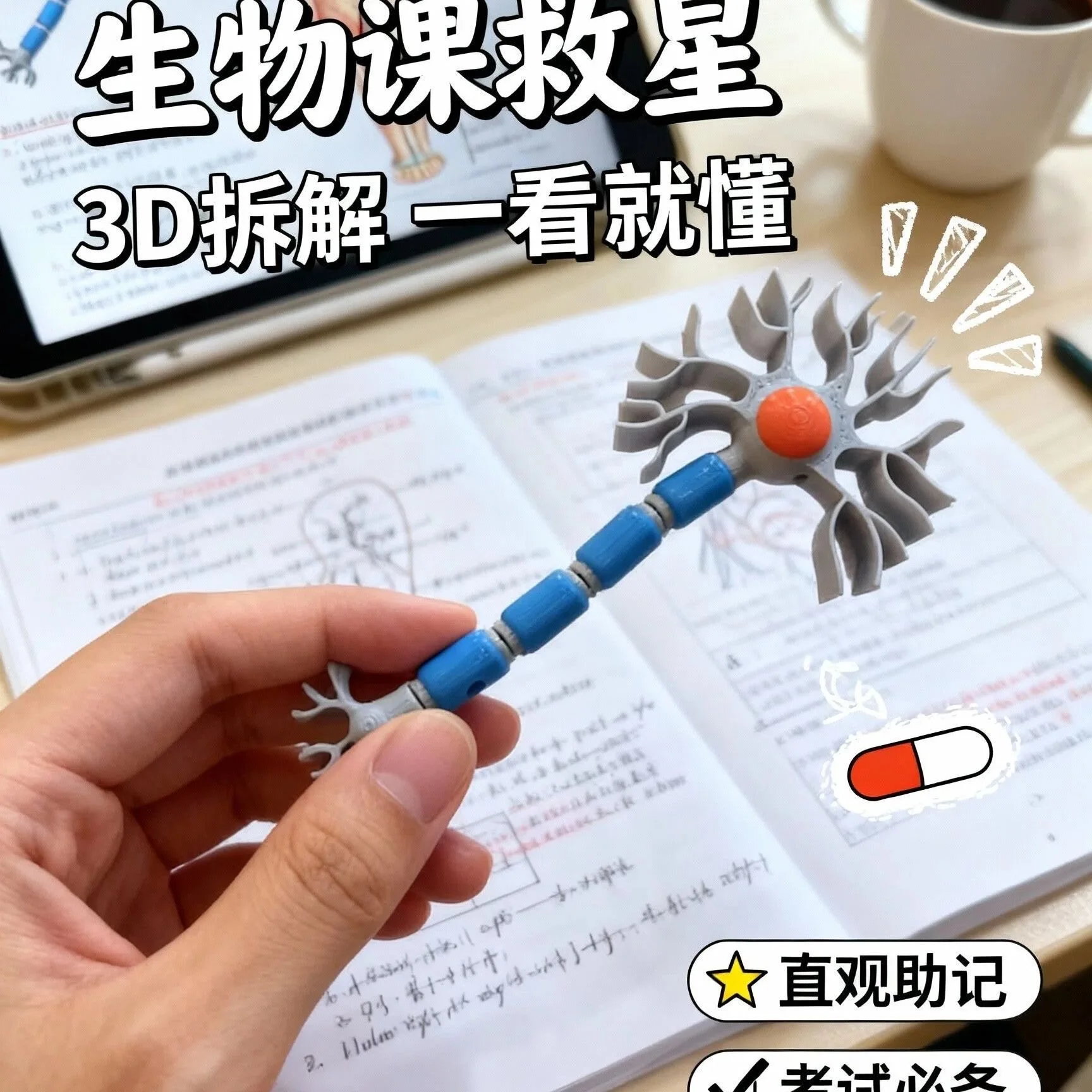 3D Microstructural Model Neuron Model Tissue Fabrication Model High School and Junior High School Biology Teaching Aids