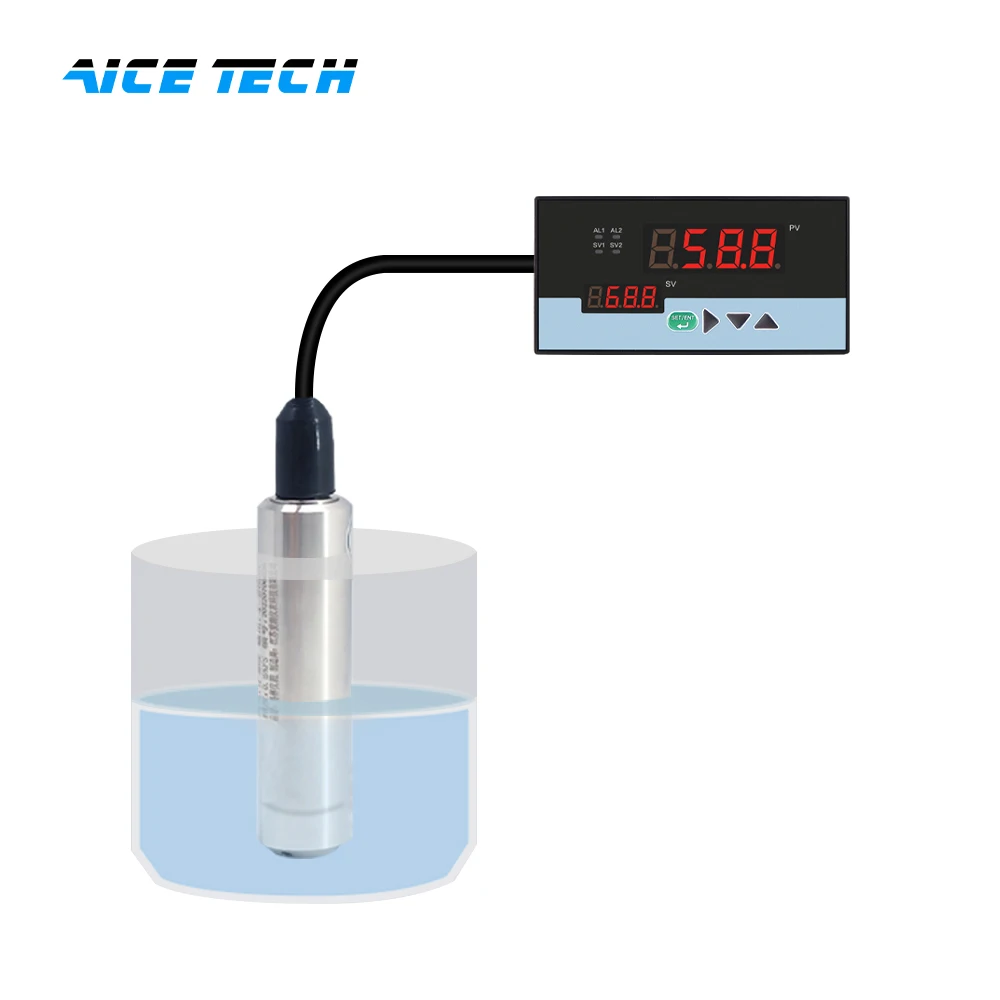 1 meters-5 meters High-Precision Submersible Liquid Level Transmitter in Stainless Steel