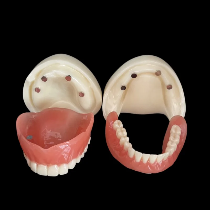 

Модель полного зубного протеза с магнитным креплением, верхняя нижнечелюстная, учебная модель для изучения