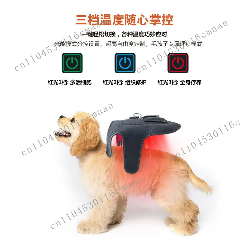 Portable pet LED light red light physiotherapy instrument, cat and dog back abdominal injury fracture red light belt