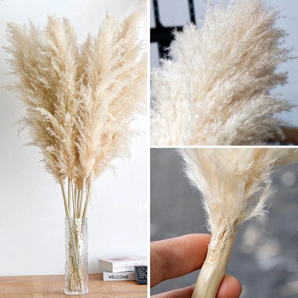 140cm Extra Large Pampas Grass, Fluffy Natural Dried Flower Bouquet, Tall Flower Decor for Boho Home, Vintage Wedding Decoration