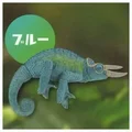Blue chameleon