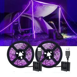 Bande lumineuse LED noire avec prise USB, boîte à piles, néon lumineux, Halloween, fête d'anniversaire, extérieur, camping, lumière structurels ente, 2,5 m, 10W