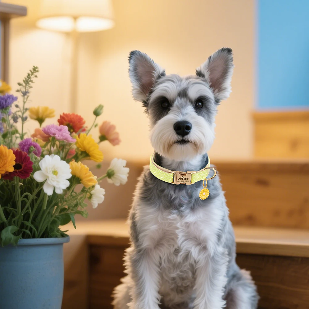 Benutzerdefiniertes Hundehalsband aus glitzerndem Nylon mit Blumenanhänger, kostenlose Gravur, Haustiername, Schnallenhalskette für kleine, mittelgroße und große Hunde – Detail 24