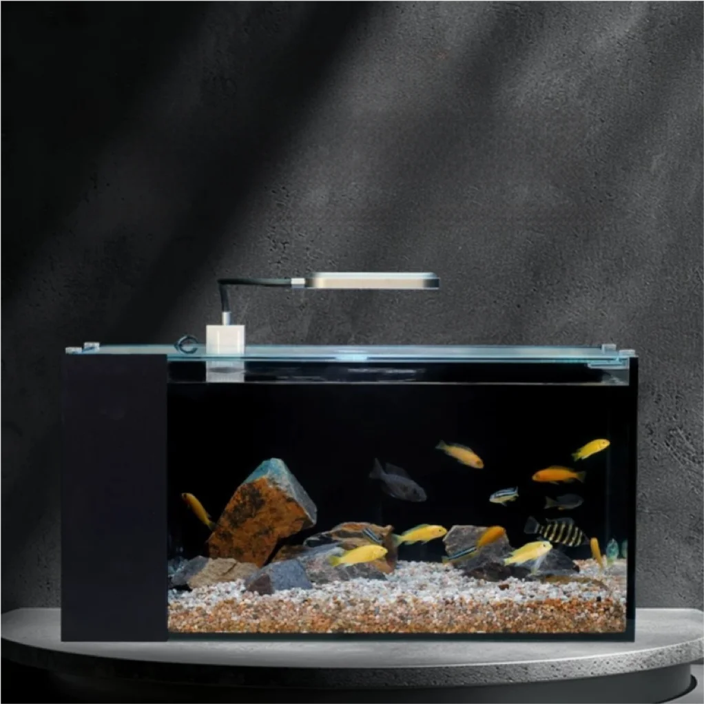 

Customized Fish Tank Stream Ultra-white Glass Landscaping Tank Home Small and Medium-sized Desktop Fish Tank Integrated Filter
