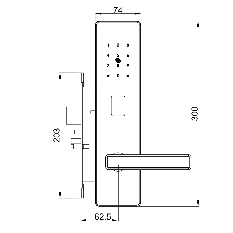Professionelle Smart Elektronische Herstellung Rfid Intelligente Management Software System RFID Hotel Türschloss