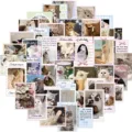 50pcs