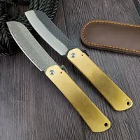 Tactical Camping Utility EDC Survival Pocket Knife Multifunction Brass Handle Damascus Steel/ Forged Folding Blade Fruit Knife