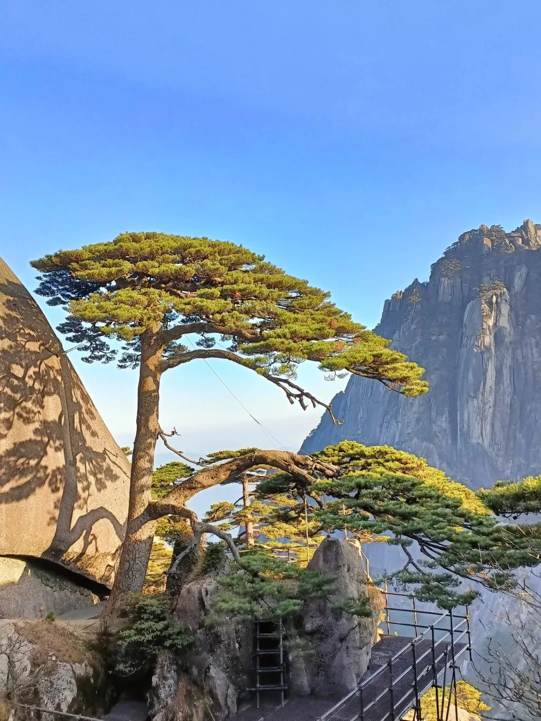 

Android 14 Radio For Infiniti QX60 JX35 2014 -2019 Touch Screen Car Multimedia Player Wireless Carplay Tape Recorder Head Unit