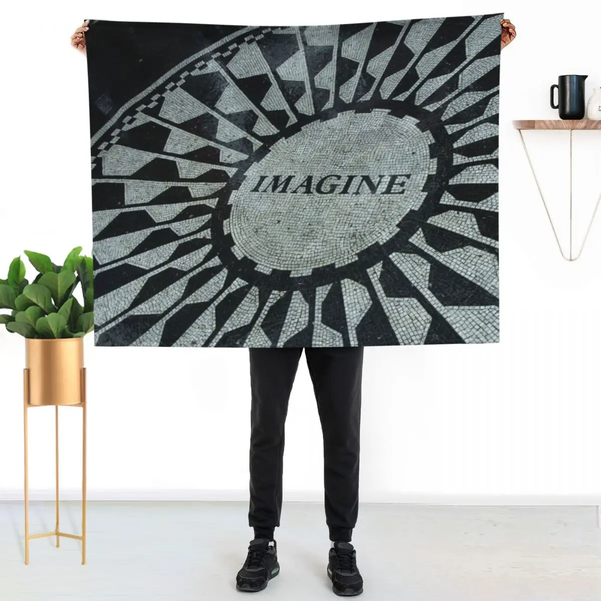 Imagine Throw Blanket Beautifuls warm winter Sofas Plush Thins Extra Large Throw Blankets