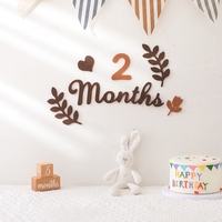 Newborn Wool Felt 1-12 Monthly Milestone Digital Baby Milestone Card Baby Newborn Photo Accessories Photography Gift For Infant