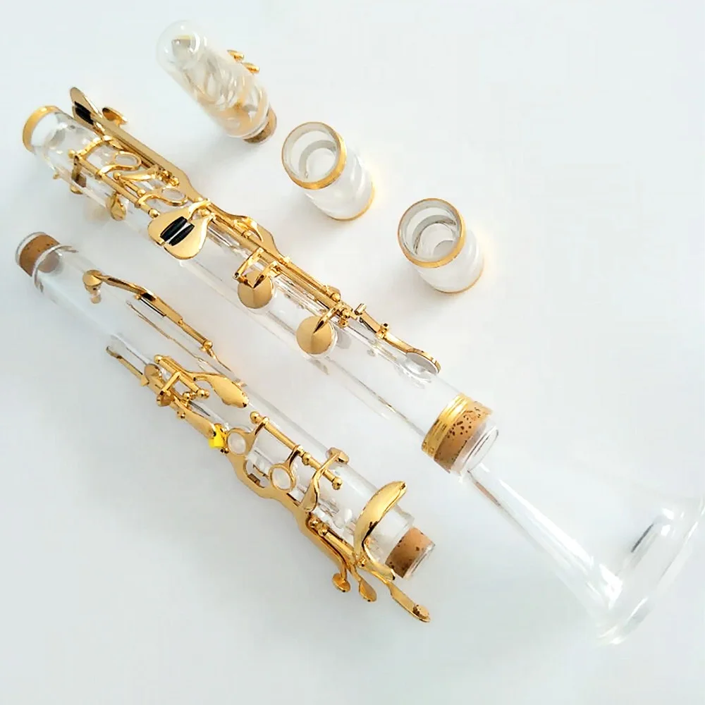 Clarinet Transparent Acrylic Body Woodwind Musical Instrument For Beginner & Performance