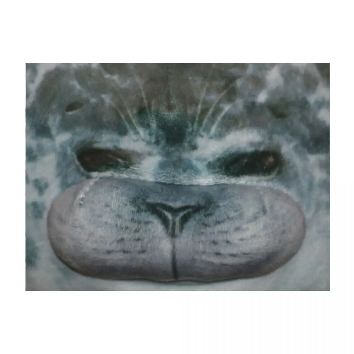 

Chubby Blob Seal Throw Blanket anime Furrys Bed Fashionable Luxury Blankets