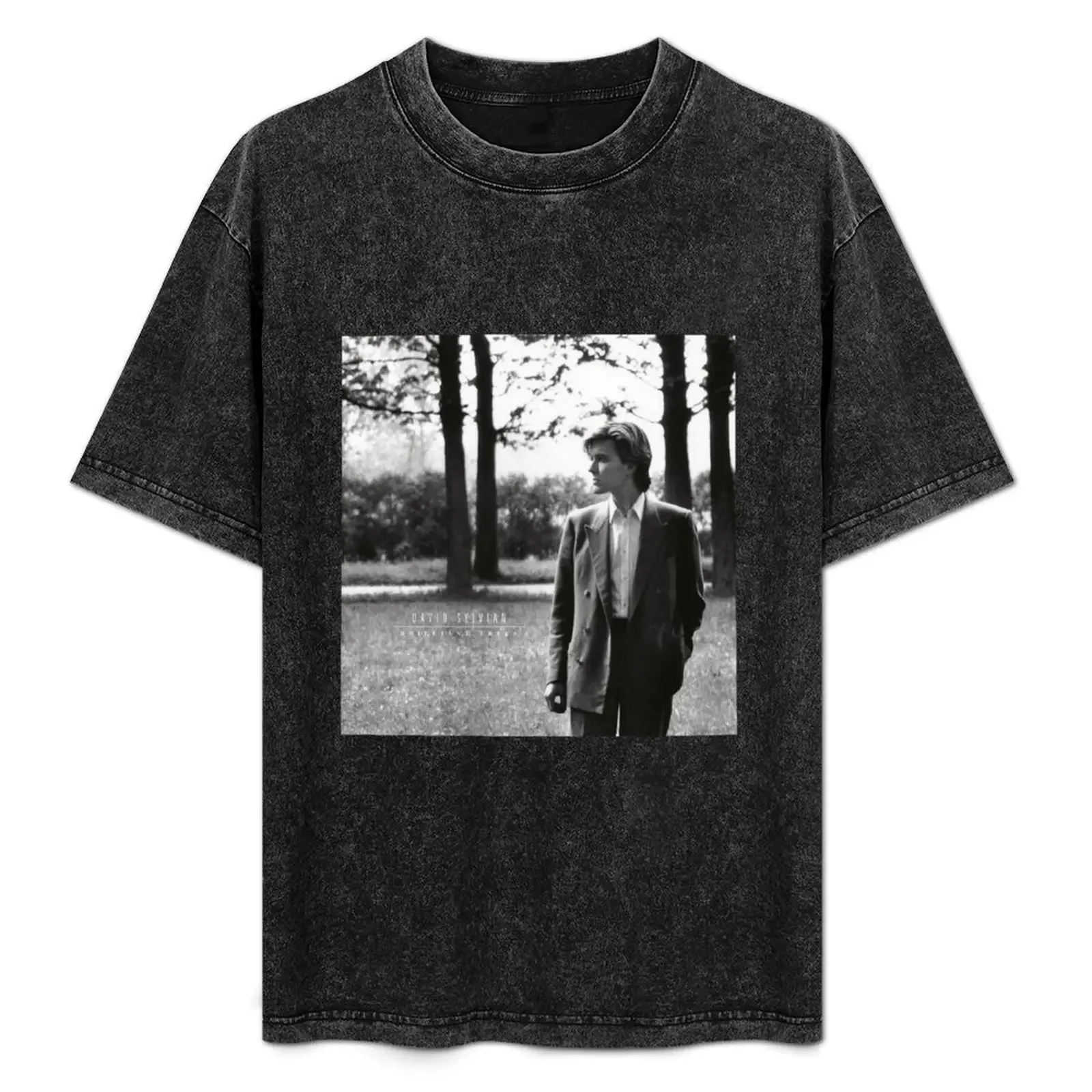 

DAVID SYLVIAN - BRILLIANT TREES T-Shirt funny gifts clothes vintage mens graphic t-shirts hip hop