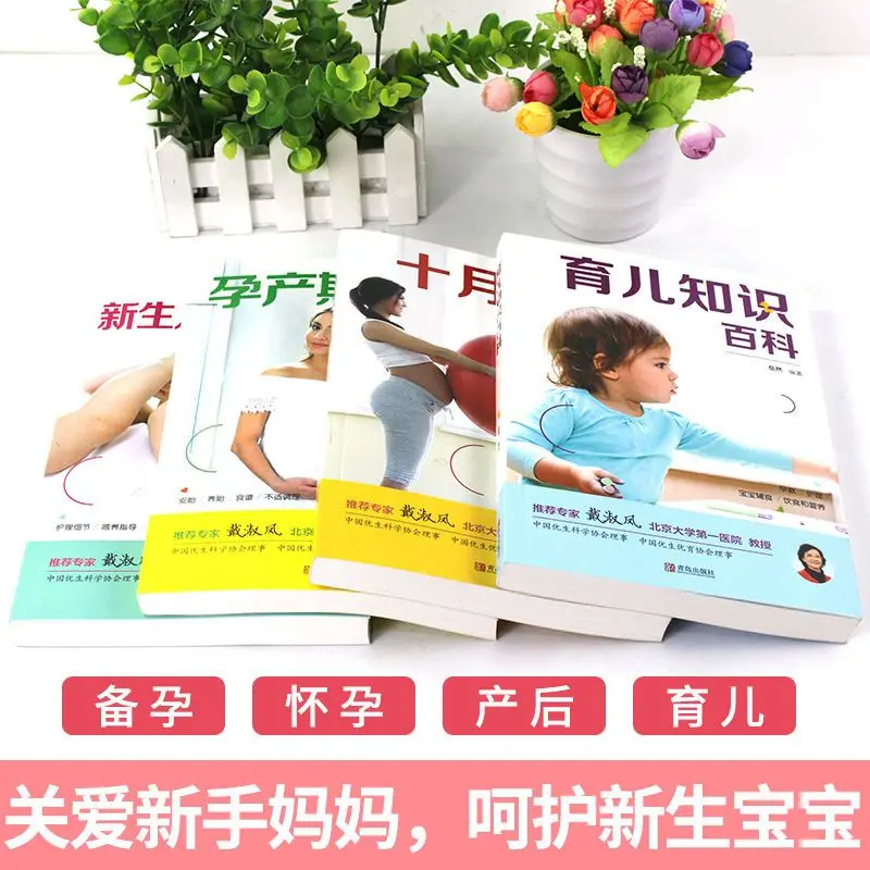 October pregnancy encyclopedia pregnant parents pregnancy supplies newborn baby care book complete pregnancy