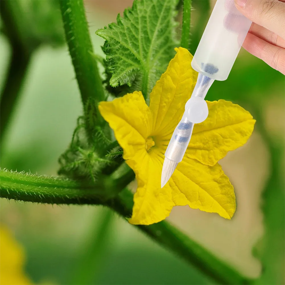 

2Pcs Tomato Pollination Tool Hand Pollination Brush Easy Manual Vegetable Pollinator for Tomatoes Eggplants Cucumbers Indoor