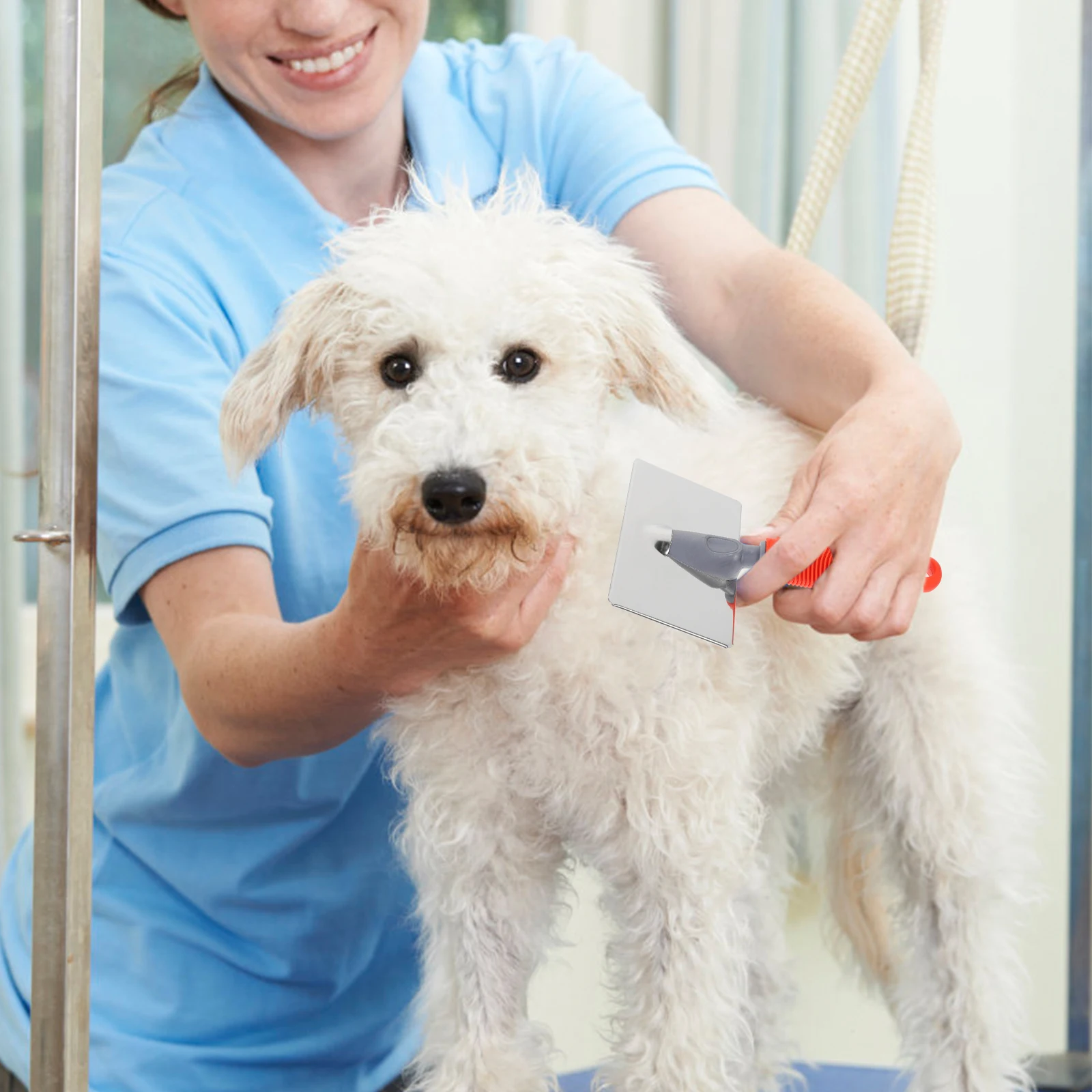 

Large Dog Grooming Brush Stainless Steel Bristles Plastic H Pet Hair Remover Tool Cleaning Supply Comfortable Design Long