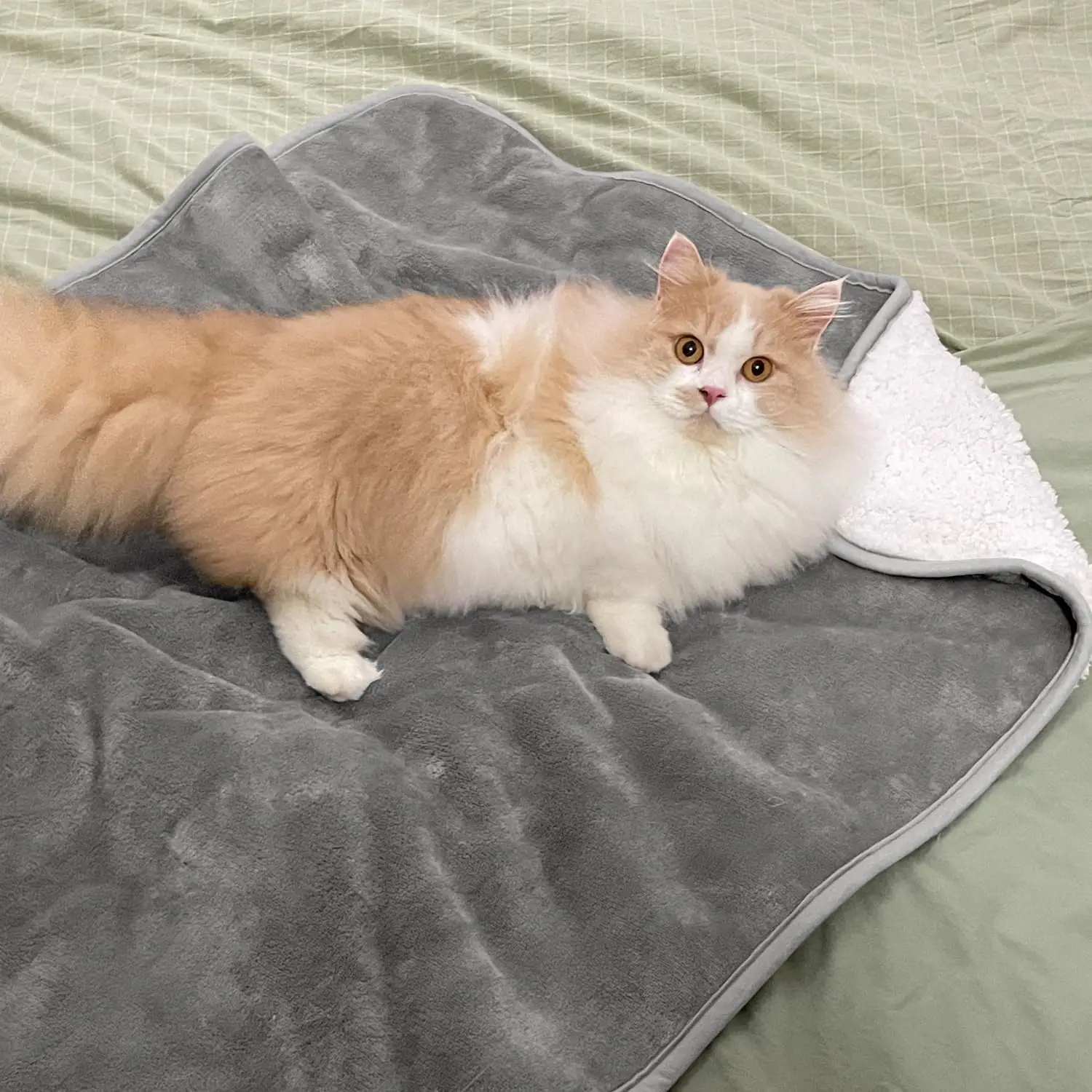 Solid Color Pet Blanket Cozy Pet Plush Blanket Thick Waterproof Bed Throw for Winter Machine Washable Sleeping Quilt for Dogs view 2