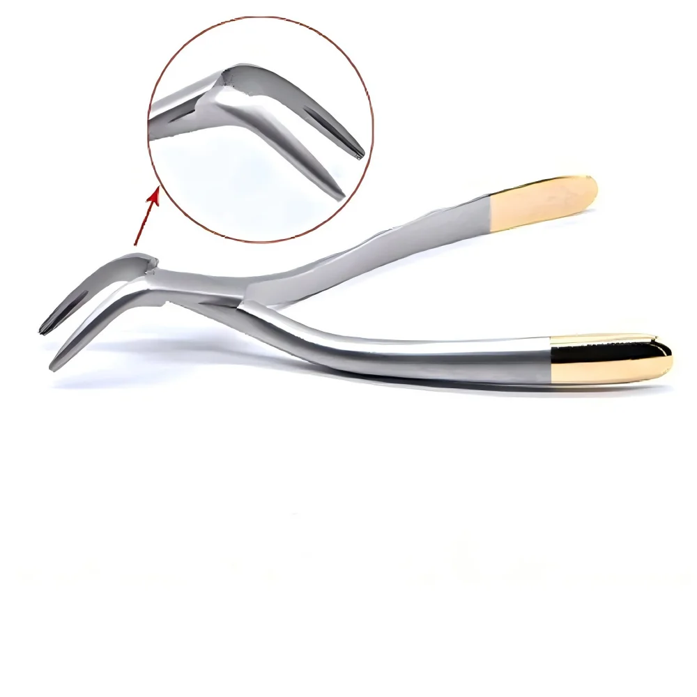 Pinza per estrazione dei denti per frammenti di radici dentali Pinza per strumento Strumento mandibolare maxillare curvo