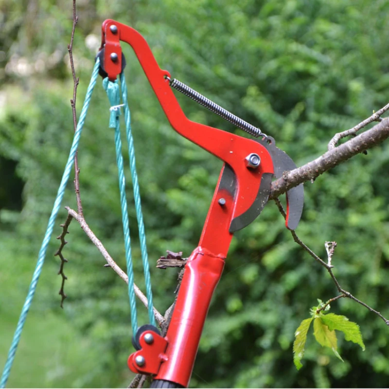 Teleskop Hohe-zweig Schere Obst Picker Hohe-höhe Schere High-höhe Rebschnitt Schere Trimmen Zweige Garten Werkzeug – Detail 7