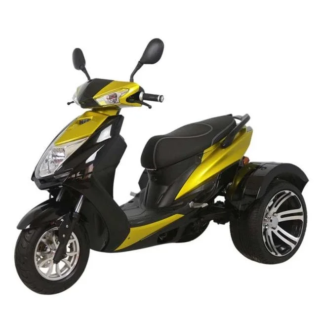 Made in China smart three-wheeled adult small electric motorcycle 800W