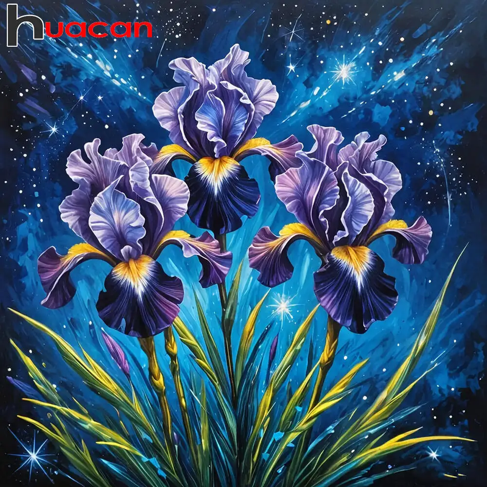 Huacan Diamond Pain… - image