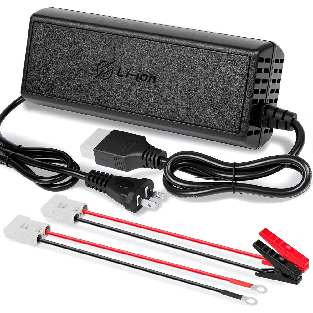 

20A 12V LiFePO4 Battery Charger, 14.6V Lithium Battery Charger with M8 Terminals & Alligator Clips, Fast Charging, Over-Current
