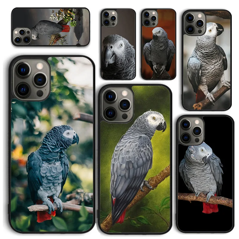 African Grey Parrot Phone Case for iPhone 16 15 14 12 13 mini PLUS X XS XR 11 PRO MAX Back Cover Fundas Shell