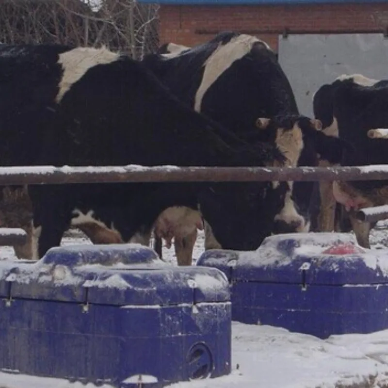 

Other Animal Equipment Water Tank Cattle Goat Automatic Water Drinker