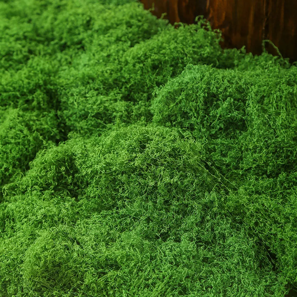 

Artificial Filamentous Moss Realistic Faux Moss for Indoor Plants DIY Micro Landscape Table Centerpieces Plant Decor