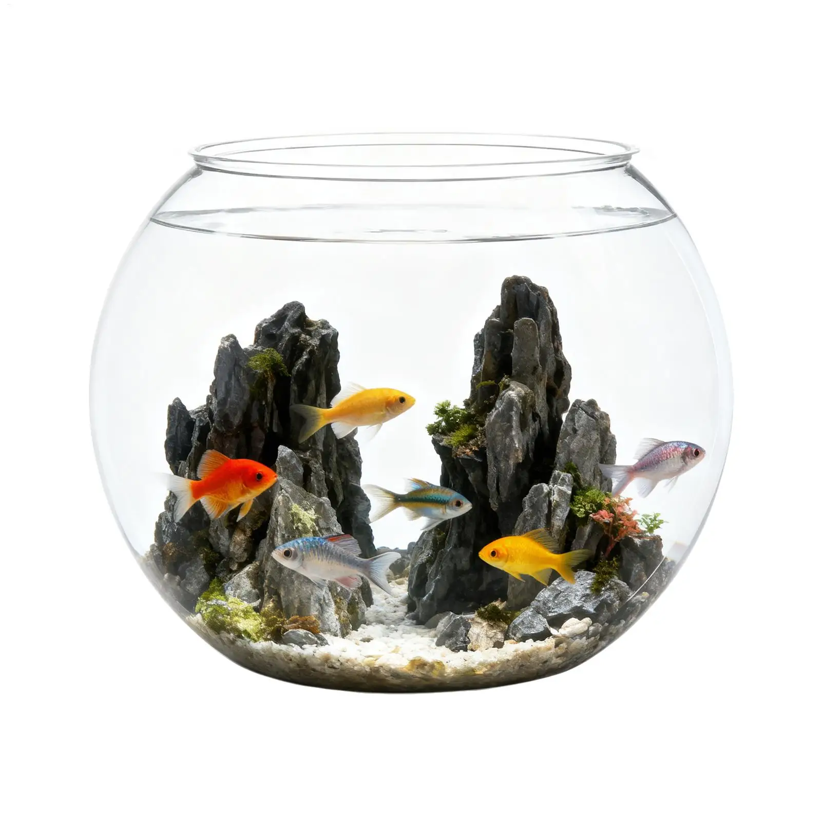 Small Fish Bowl Shatter-Resistant Small Container Bubble Pla