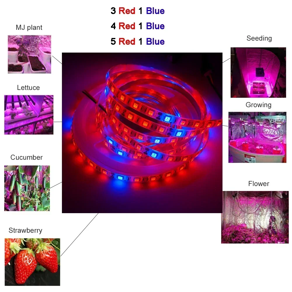 12V DC 5M Phyto Lamps Full Spectrum LED Strip Light 60LEDs/m SMD 5050 LED Fitolampy Grow Lights For Greenhouse Hydroponic plant