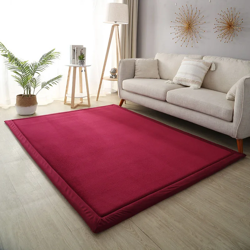 Coral Fleece Carpet for Living Room Luxury Thick Warm Bedroom Kids Room Area Rugs Anti Slip Tatami Floor Mat Mattress Home Decor