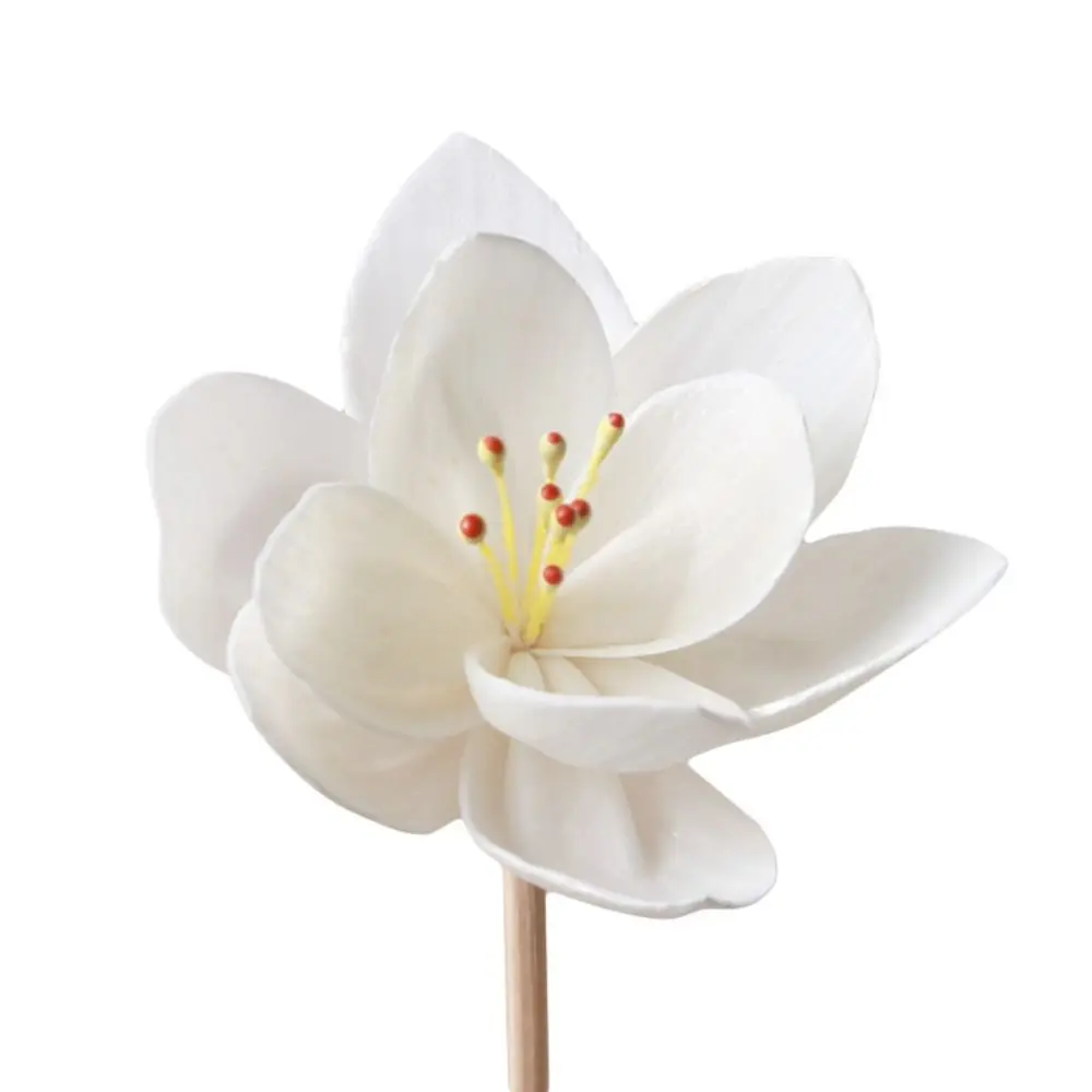 5cm Creative Handmade Fragranc - Home Fragrance Incense Sticks review and price