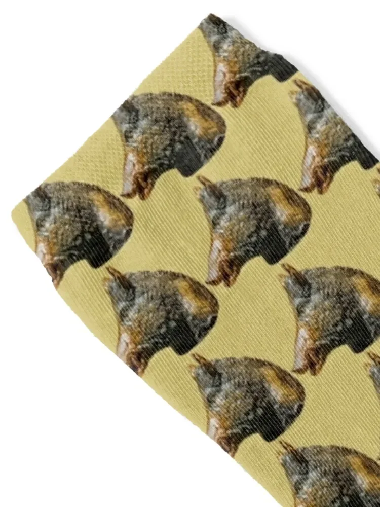 البرونزية الخنزير رئيس الجوارب المستجدات الرياضة ساخنة الكاحل الجوارب رجل إمرأة ريترو الصيف هدية الكريسماس الجوارب النسائية الرجال #2