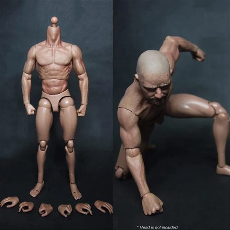 Narrow Shoulder Male Body Doll Action Figure For TTM18 TTM19 Hot Toys & Human Body Sketch Model