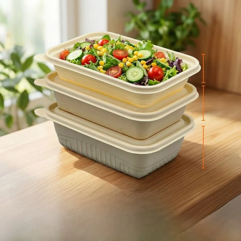 contenitore-per-pasti-monouso-in-amido-di-mais-di-qualita-commerciale-scatola-da-asporto-rinforzata-forma-rettangolare-con-coperchio-per-campeggio-all'aperto