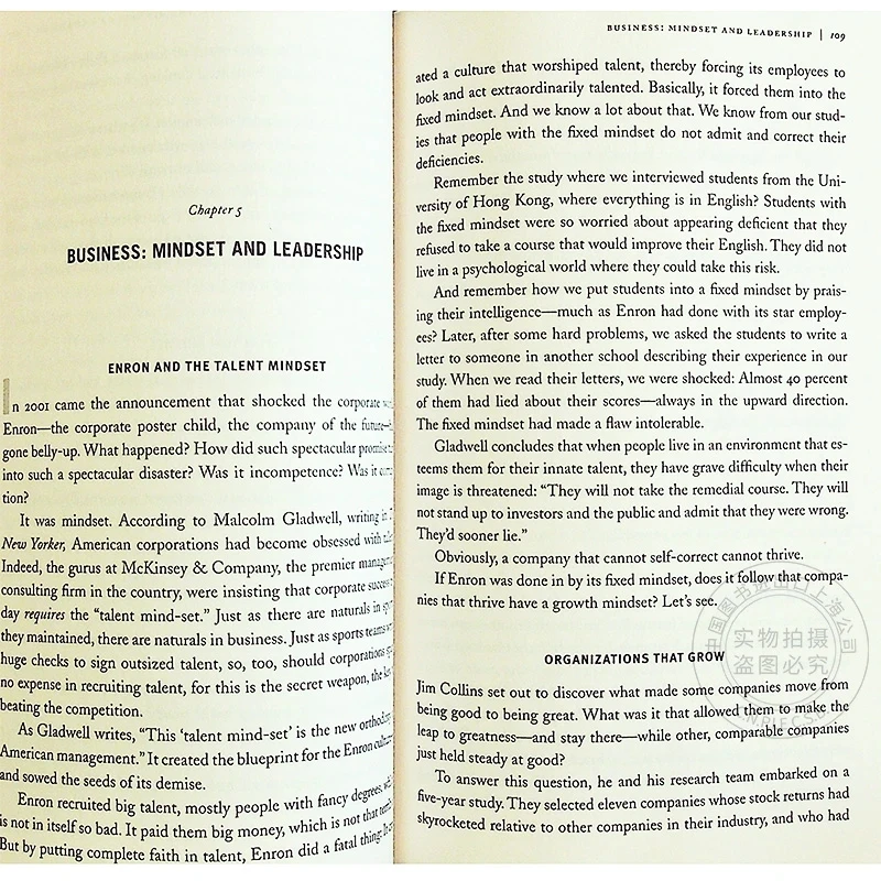 A Nova Psicologia do Sucesso Inglês Livro, Mind Set, Inglês Livro, Carol S Dweck Literatura Estrangeira Livro Inspirado