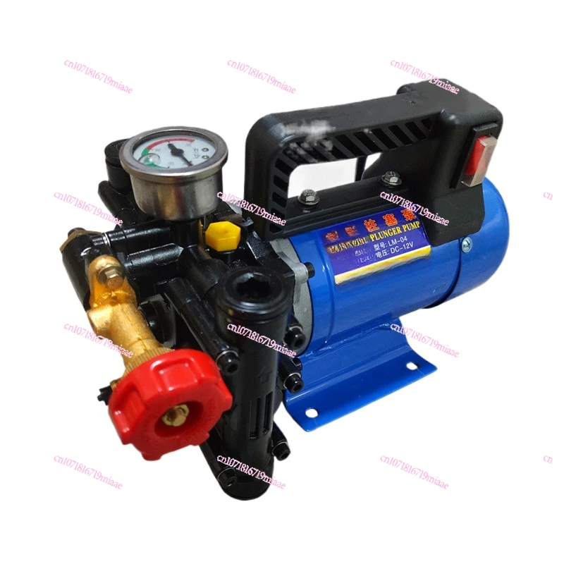 

Portable Plunger Pump 12v24v48v60v220v Electric Sprayer Double Cylinder High Pressure Fruit Tree for Pesticide Spray