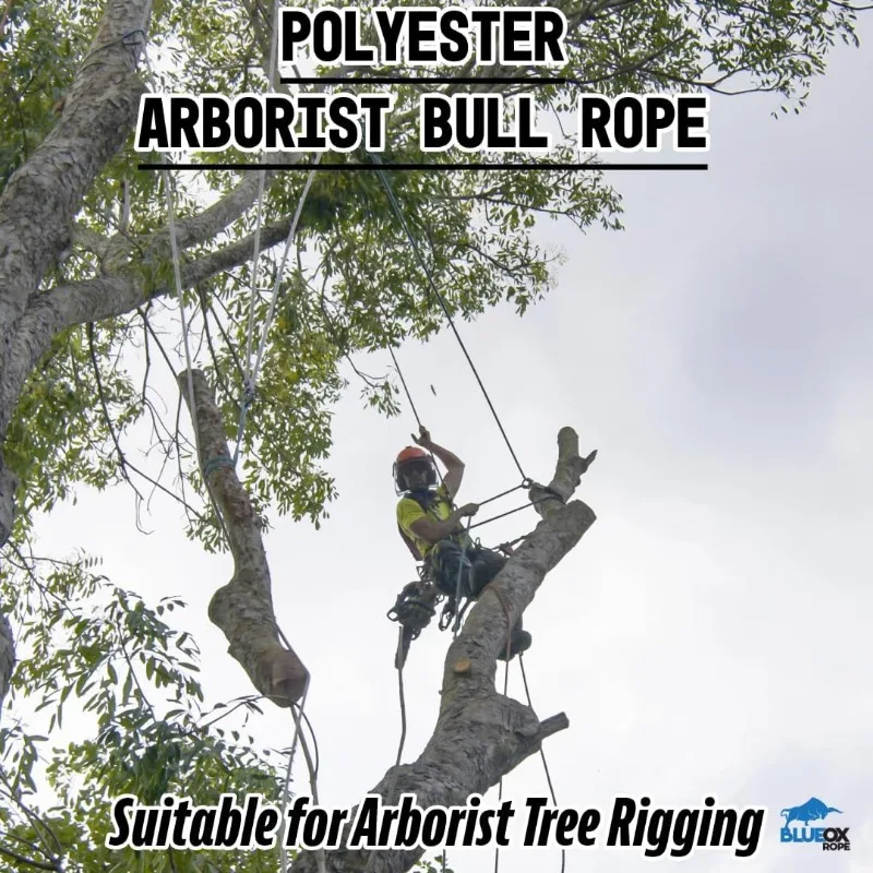 3/4 Inch by 200 Feet 12 Carrier, 24 Strand Polyester Arborist Bull Rope, White/Blue