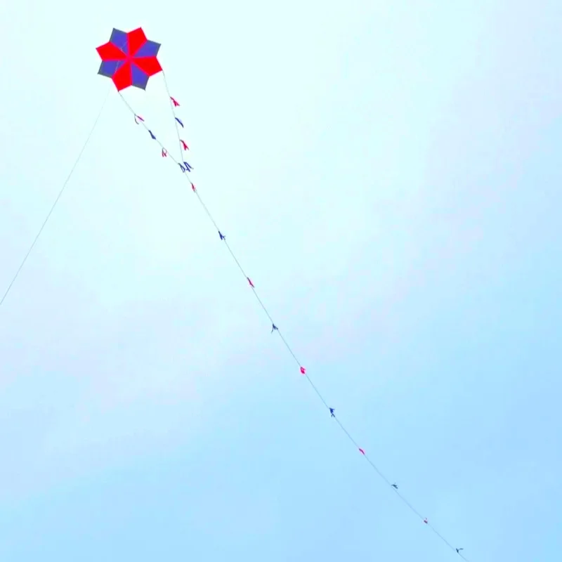 Free Shipping Gossip Kites flying for adults kites string kevlar line professional wind kite factory windsurf papalote kites bar