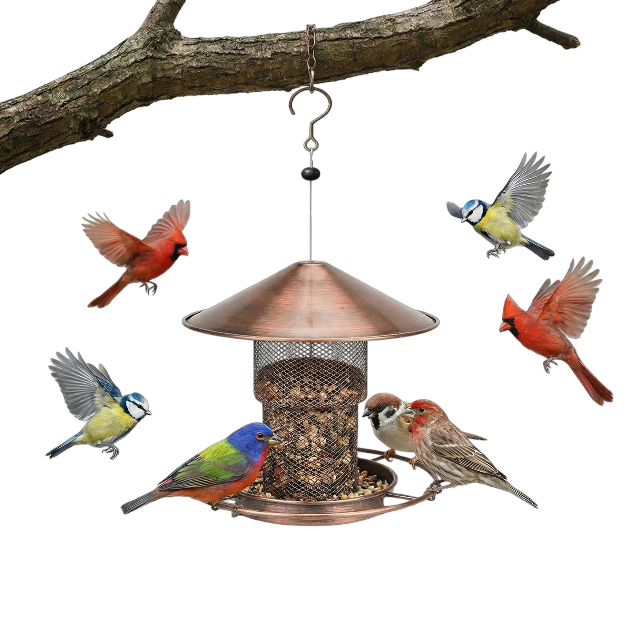 

Metal Bird Feeders for Outside Bird Feeder for Outdoor Hanging Large Capacity Squirrel Proof Birdfeeders Heavy Duty