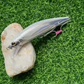 SW01 1PC  H